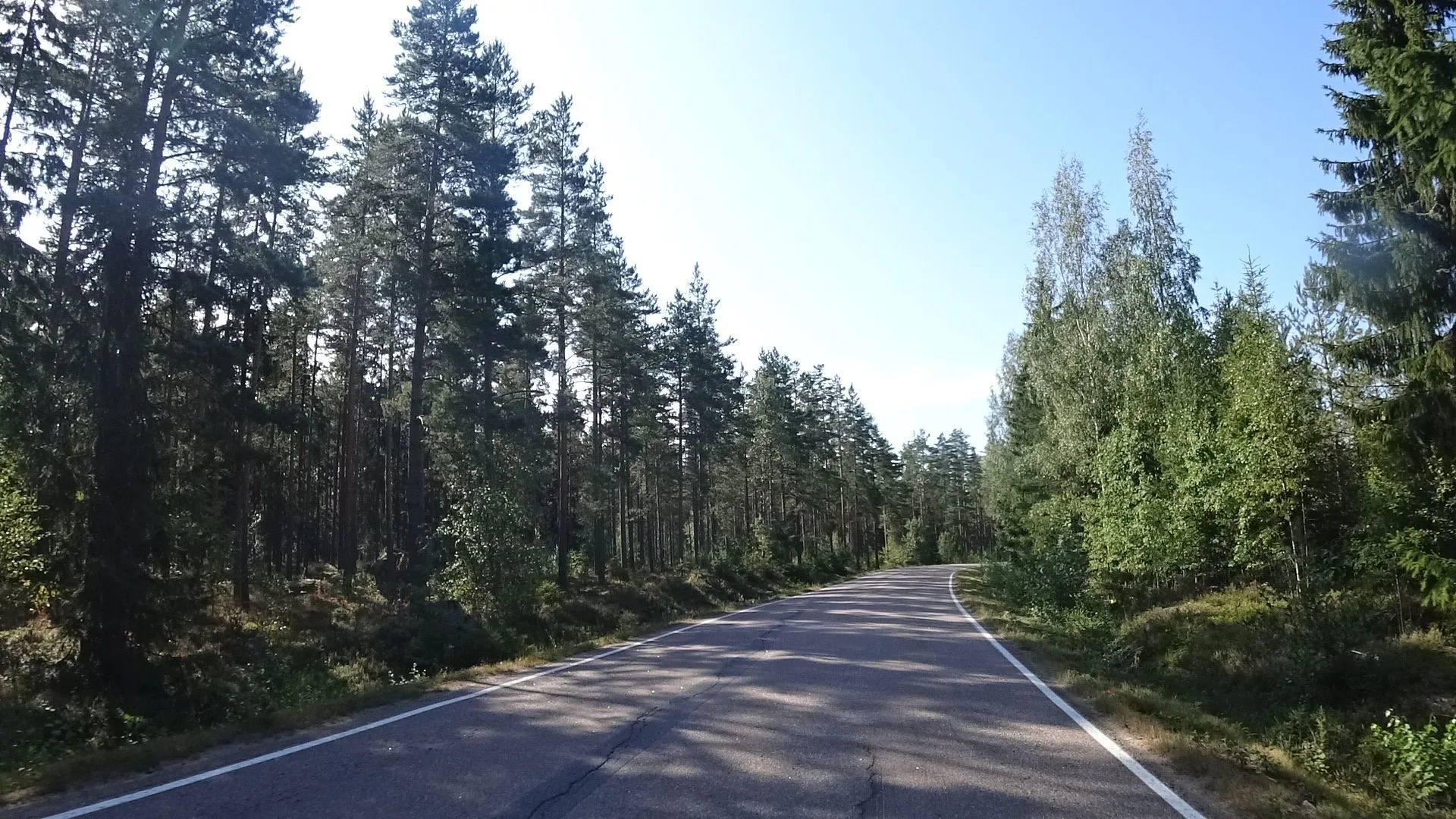 Маршрут «Вокруг Торфяновки», 24,1 км