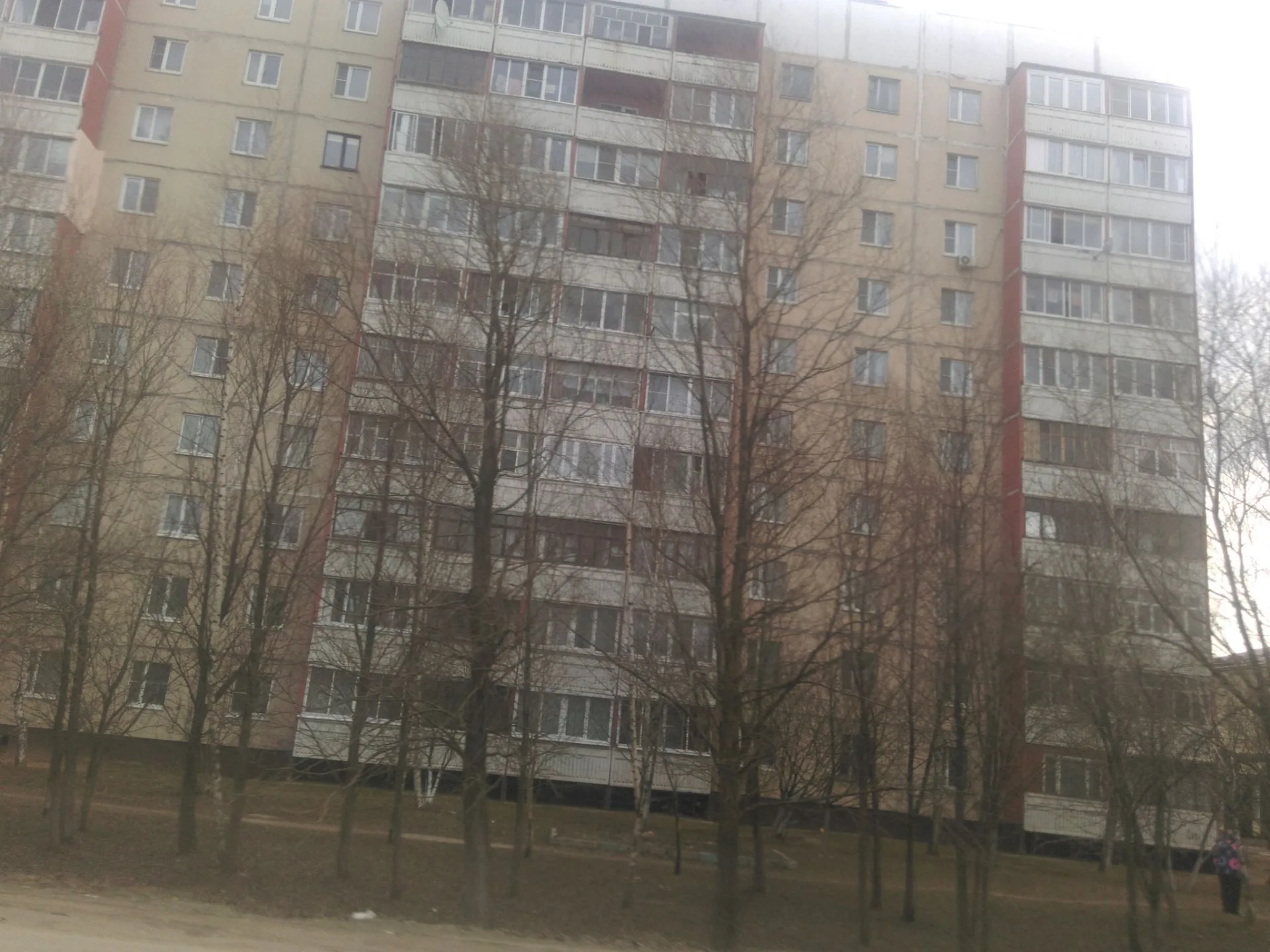 Маршрут «Вокруг Тучково», 0,6 км