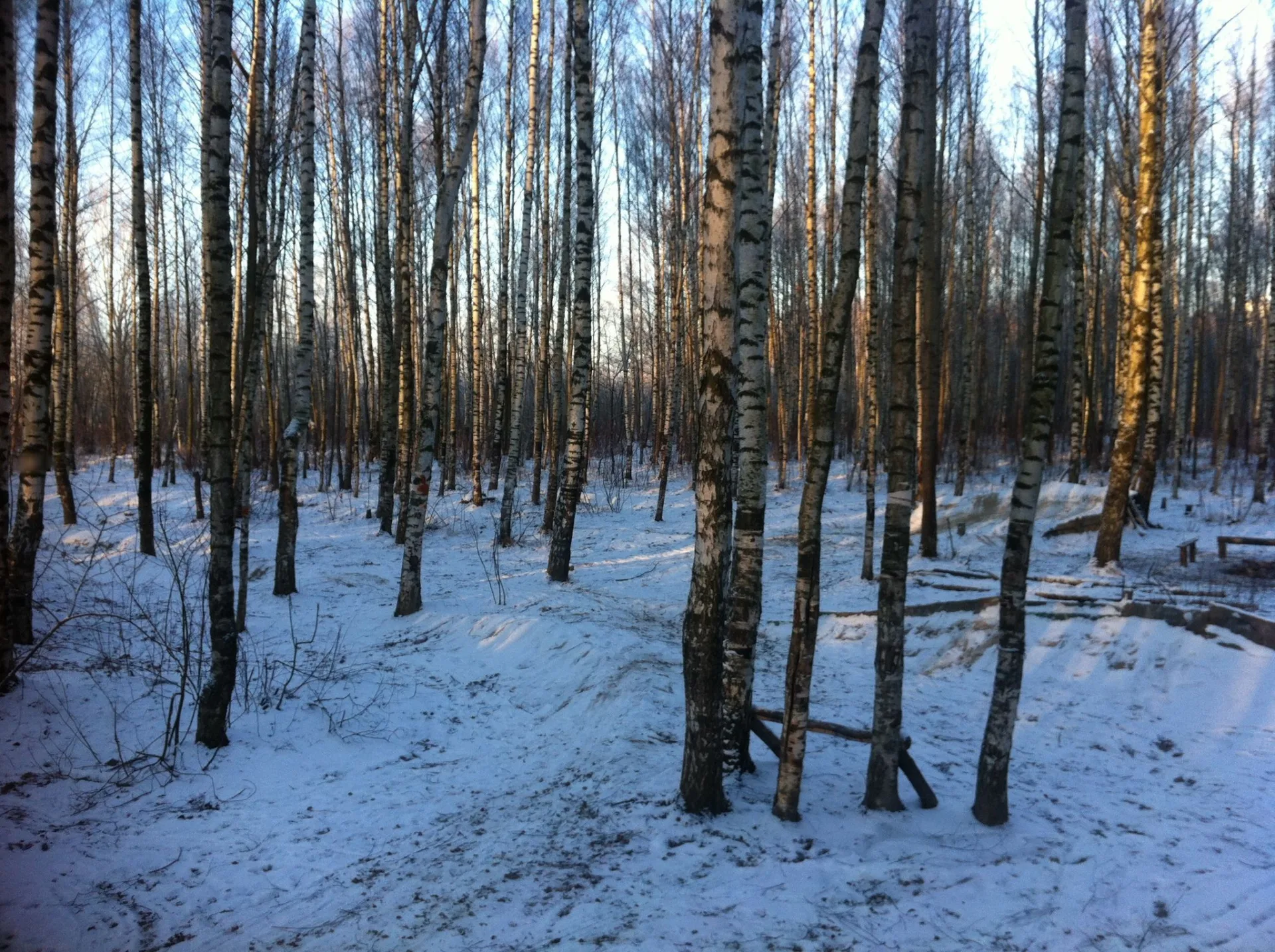 Маршрут «Вокруг Ульянки», 12,5 км