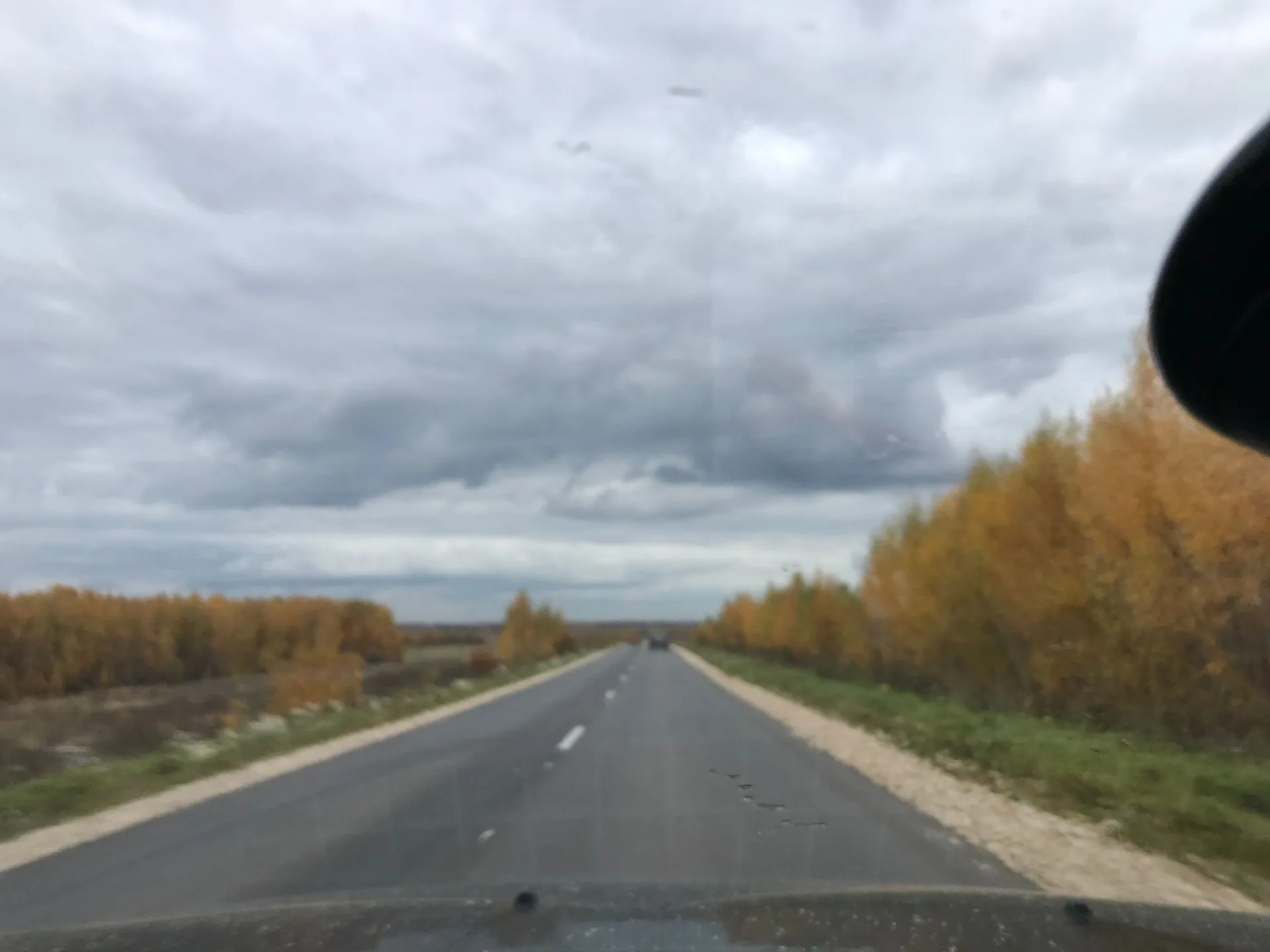 Маршрут «Вокруг Зайцево»