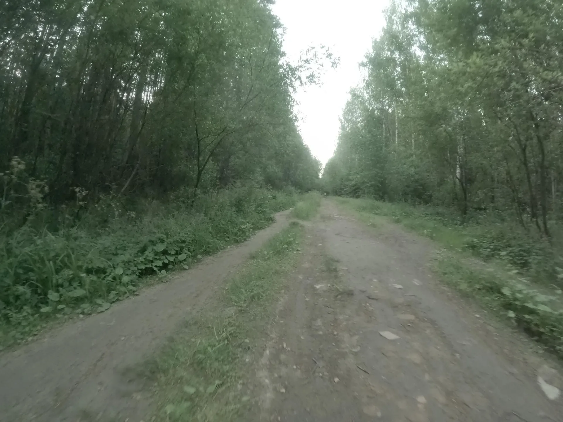 Маршрут «Вокруг Заневки», 3,4 км