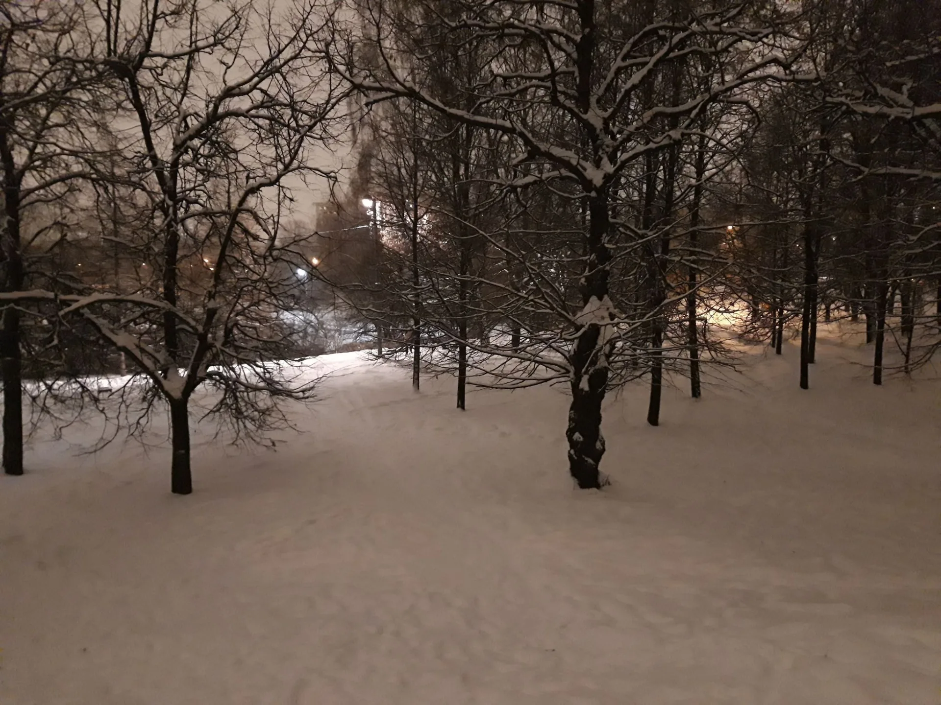 Маршрут «Восточное Дегунино — Шелепиха», 7,3 км