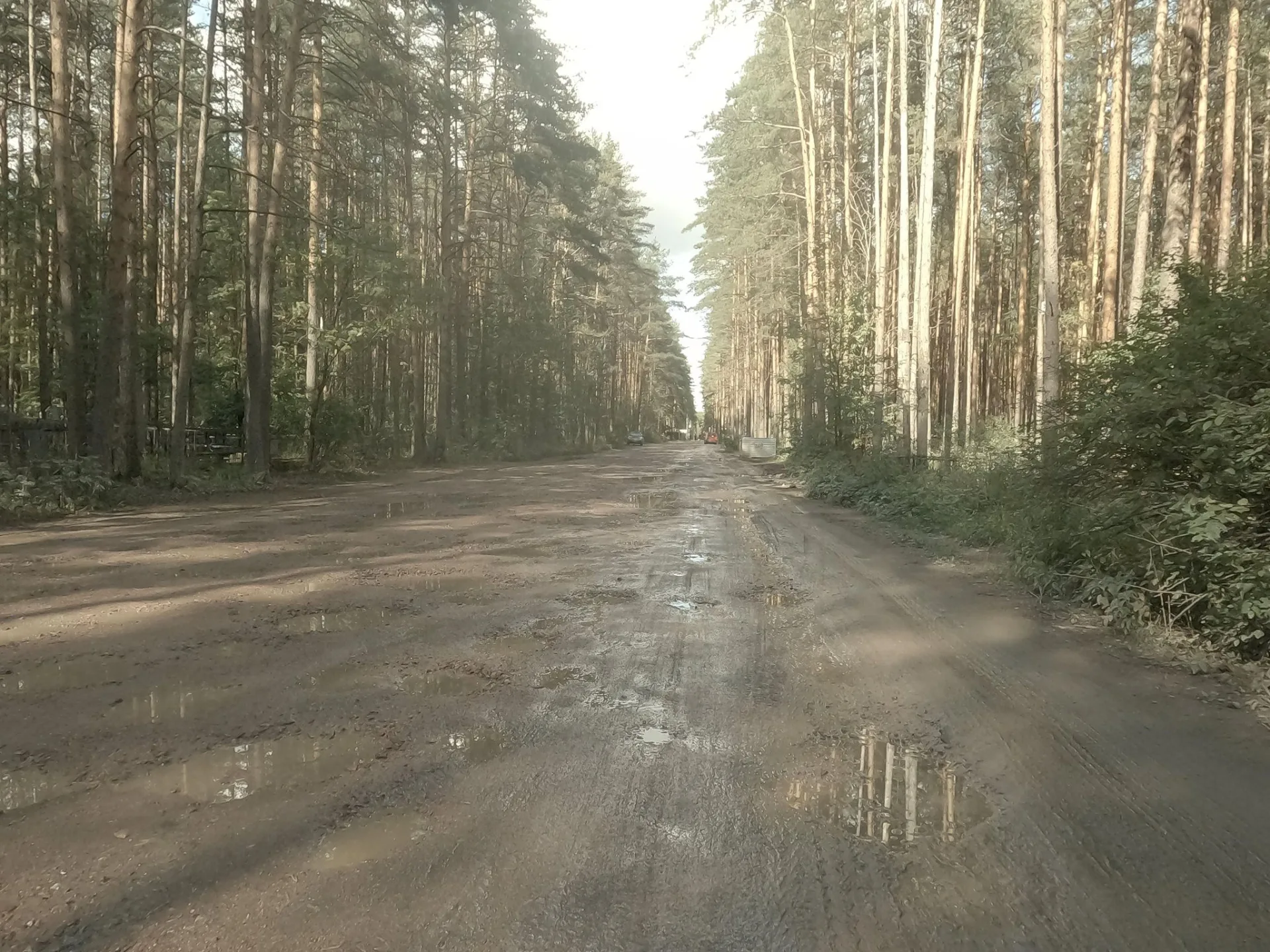 Маршрут «Всеволожск — Углово», 11,3 км