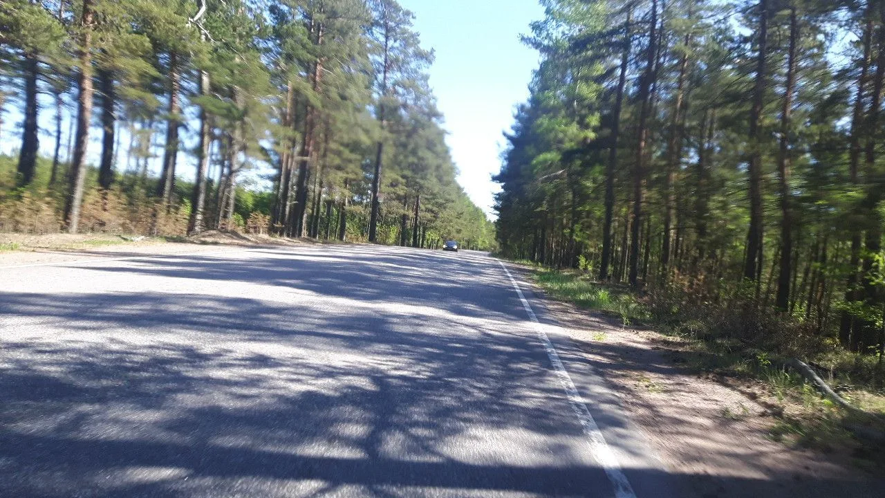 Маршрут «Высокое — Тарасовское», 1,0 км