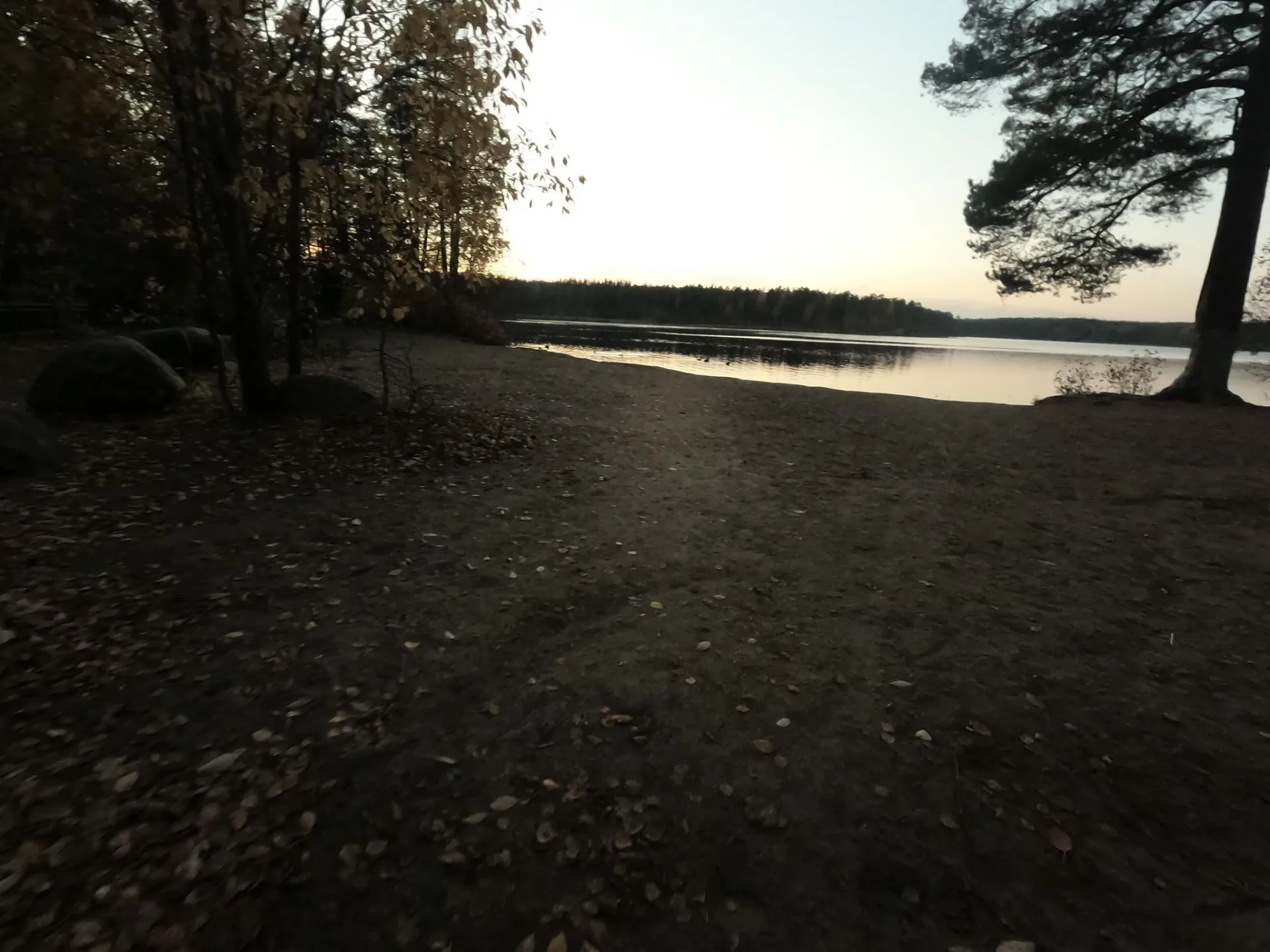 Маршрут «Зеленогорск», 14,9 км