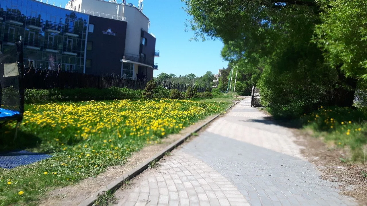 Маршрут «Зеленогорск», 3,3 км