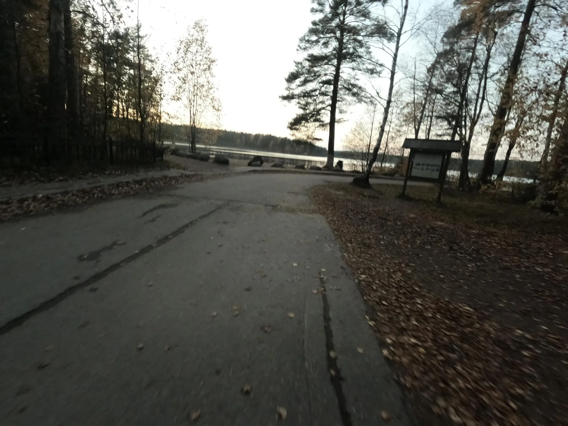 Маршрут «Зеленогорск — озеро», 5,1 км