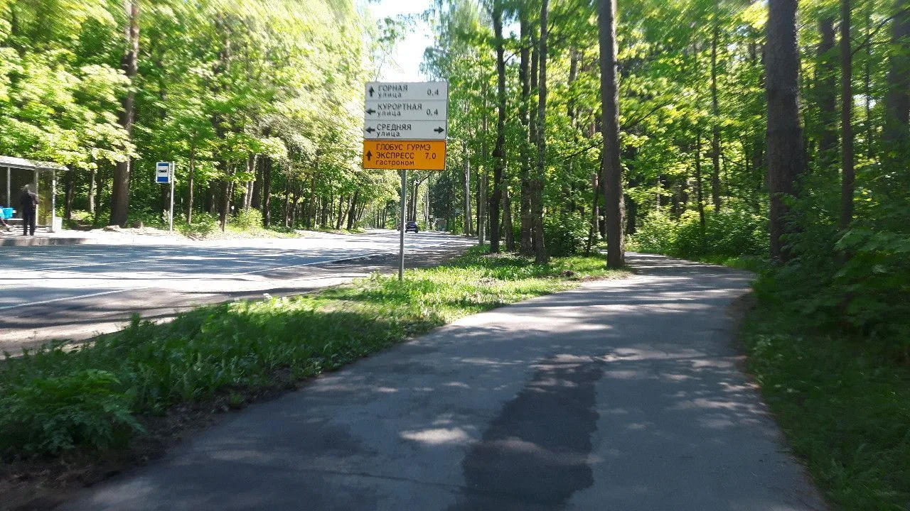 Маршрут «Зеленогорск — Озеро и Храм Святителя Луки», 17,3 км