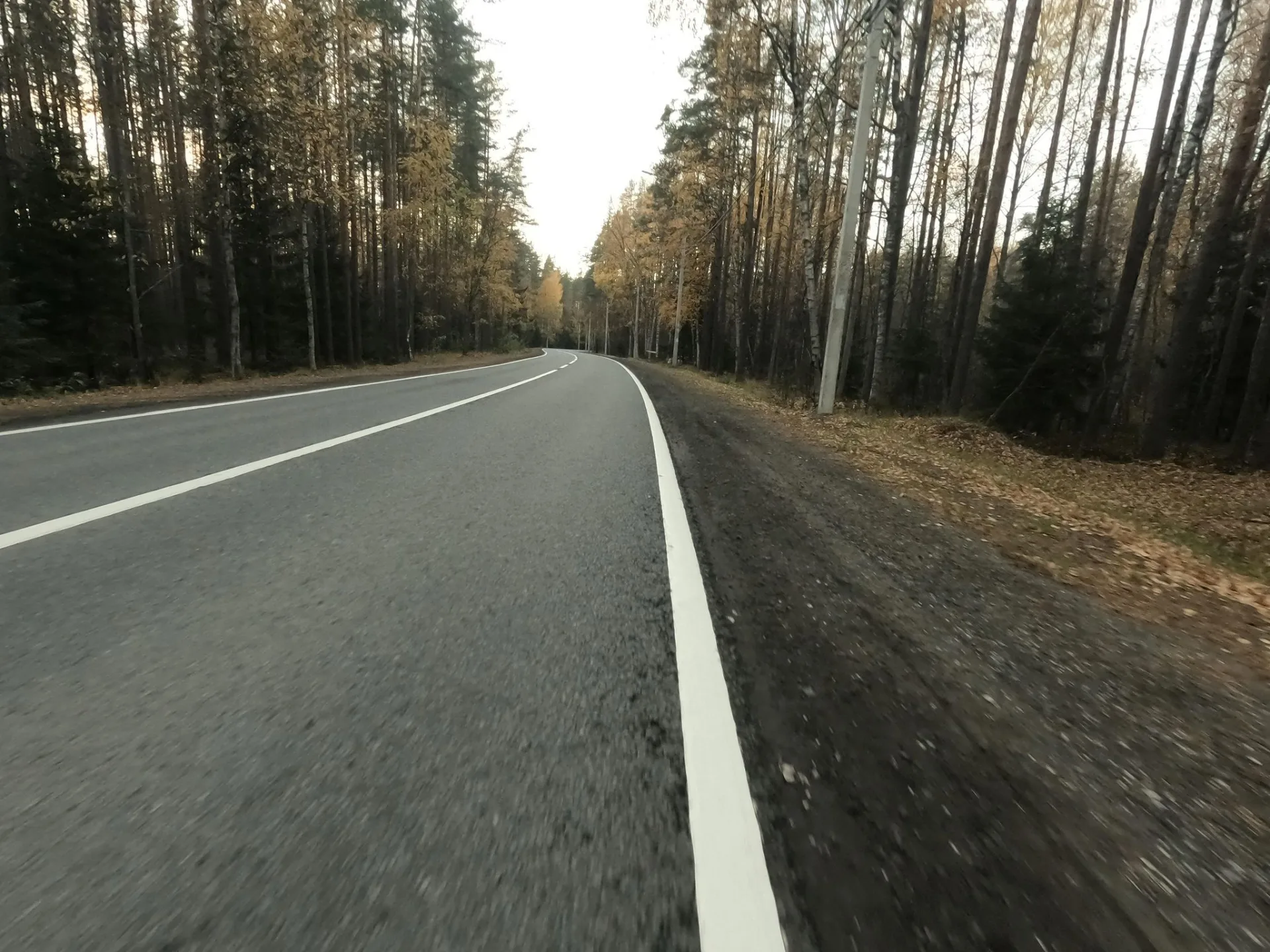 Маршрут «Зеленогорск — Репино», 16,0 км