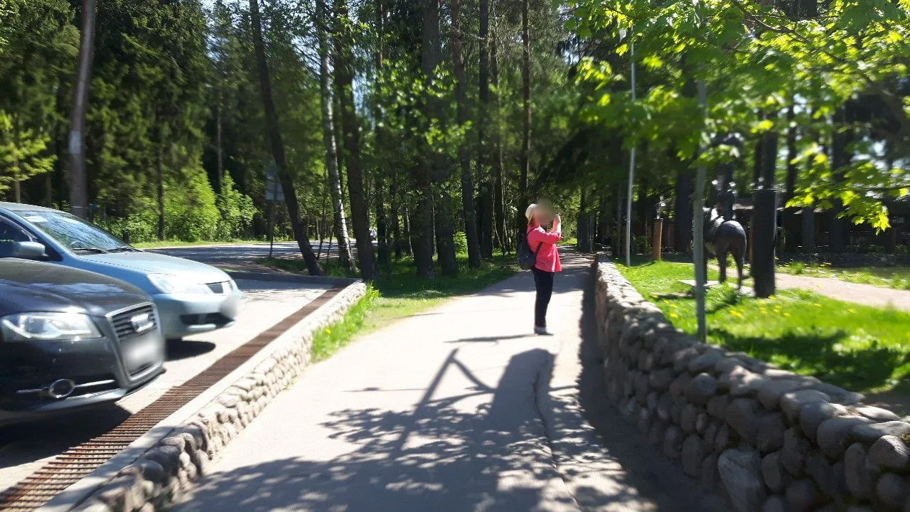 Маршрут «Зеленогорск — Репино», 10,7 км