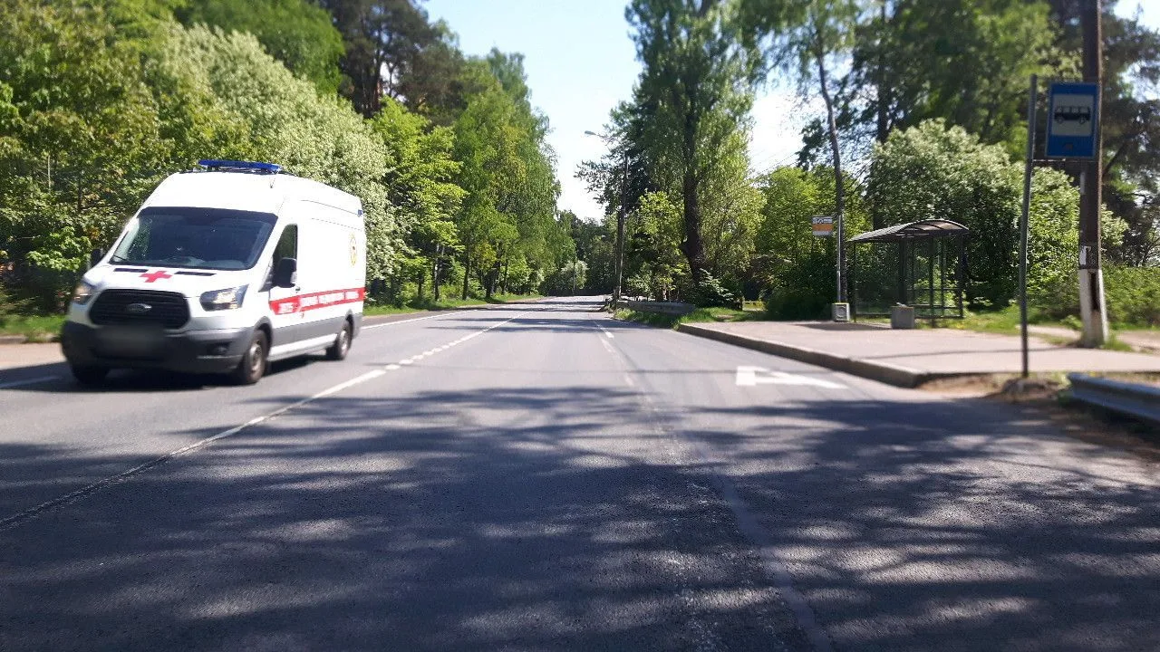 Маршрут «Зеленогорск — Репино», 11,3 км