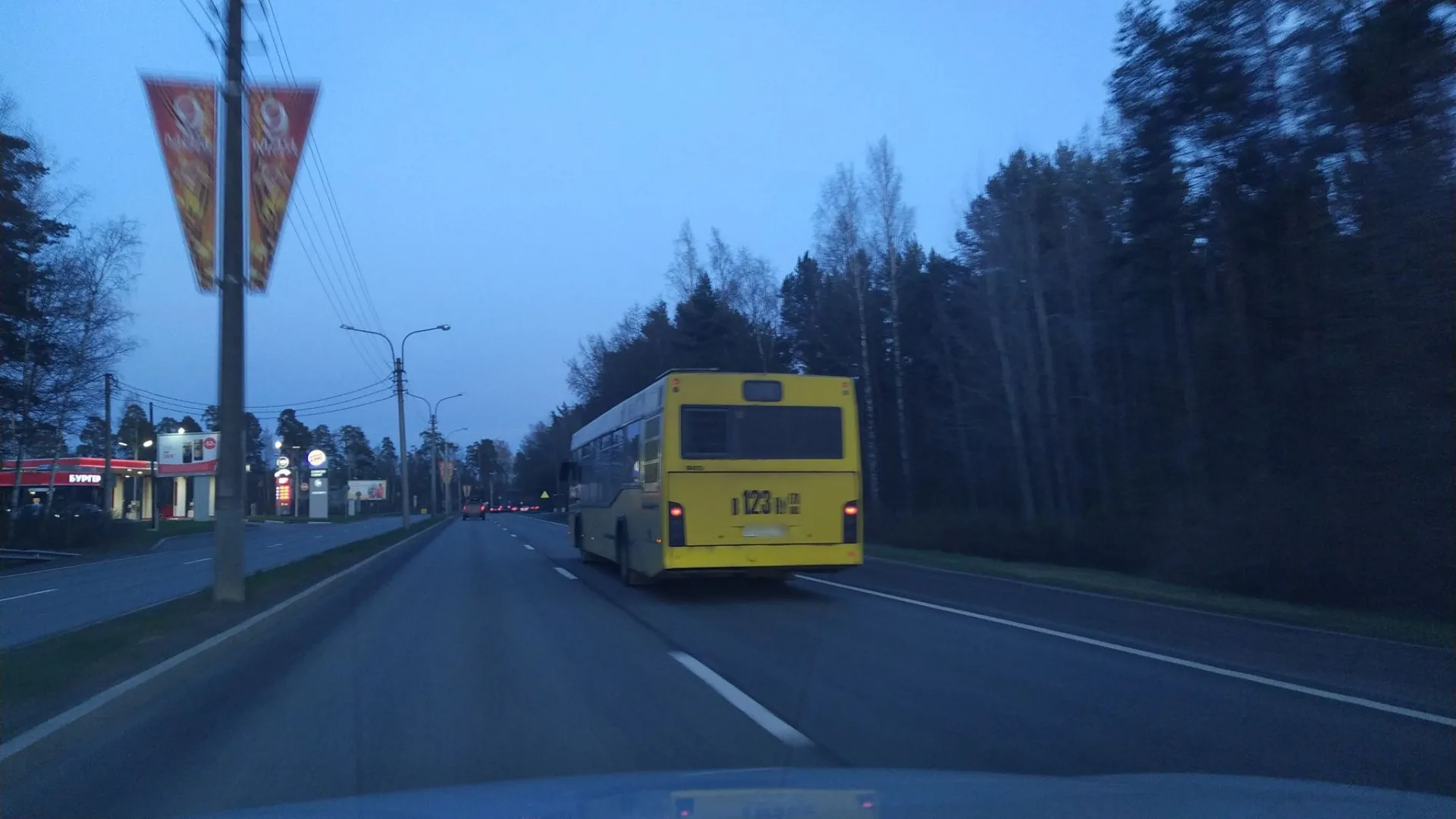 Маршрут «Зеленогорск — Санкт-Петербург», 29,3 км