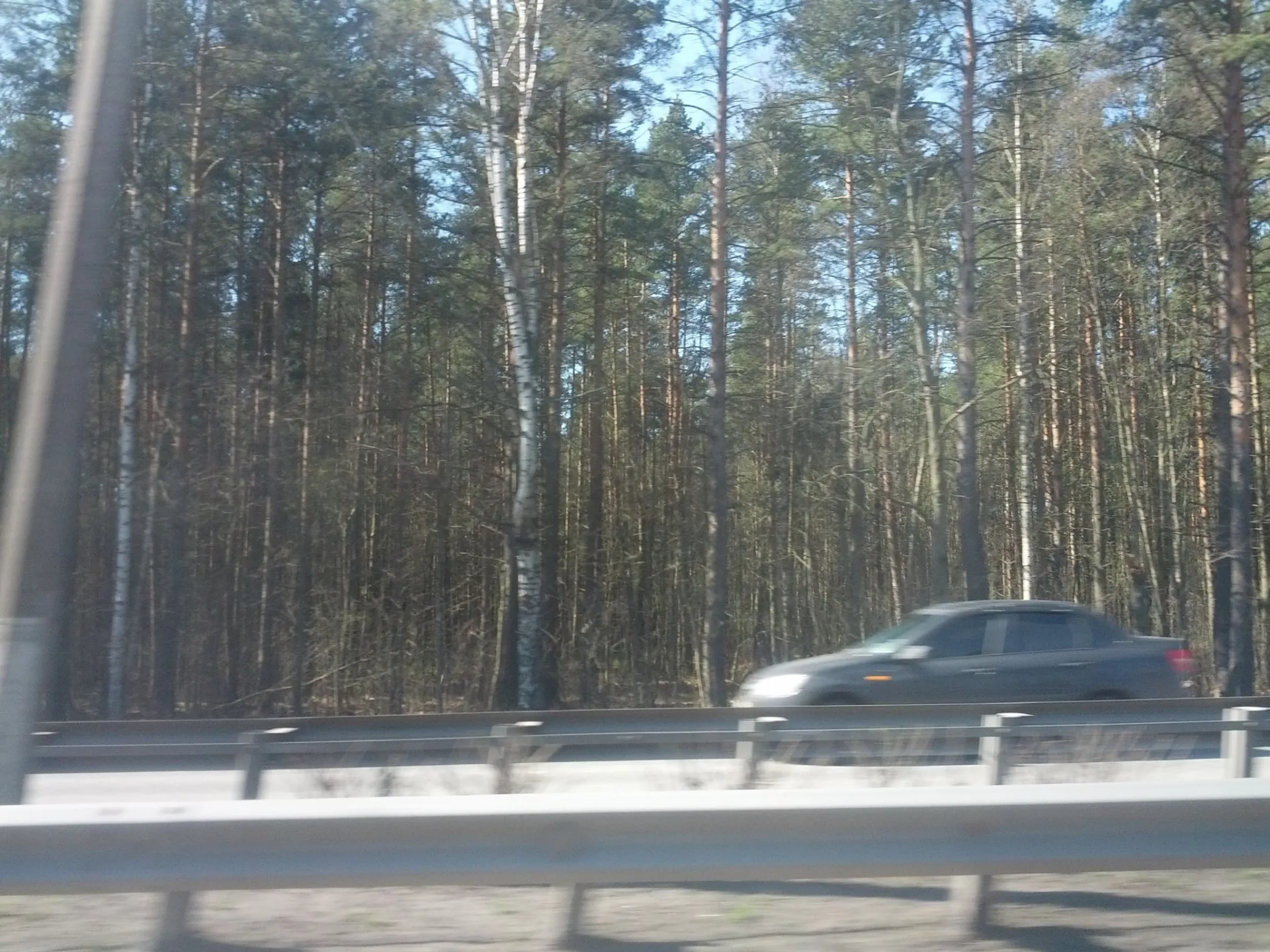 Маршрут «Зеленогорск — Санкт-Петербург», 38,4 км