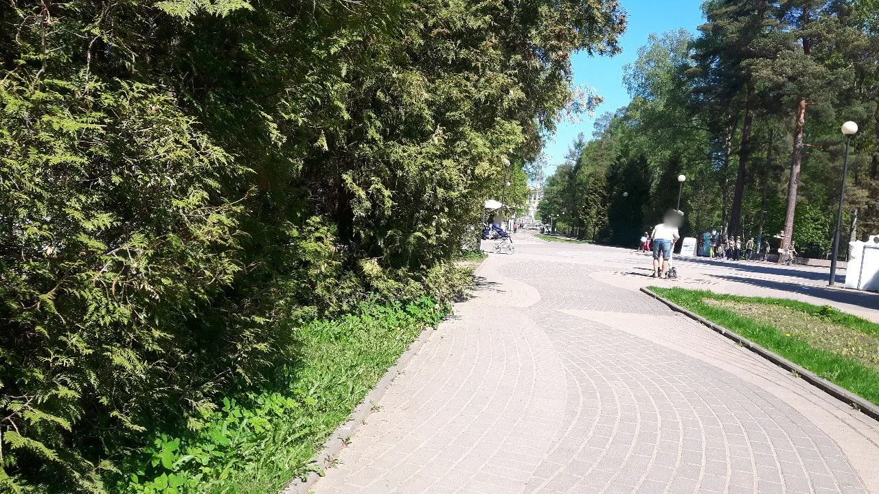Маршрут «Зеленогорск — Солнечное», 2,3 км
