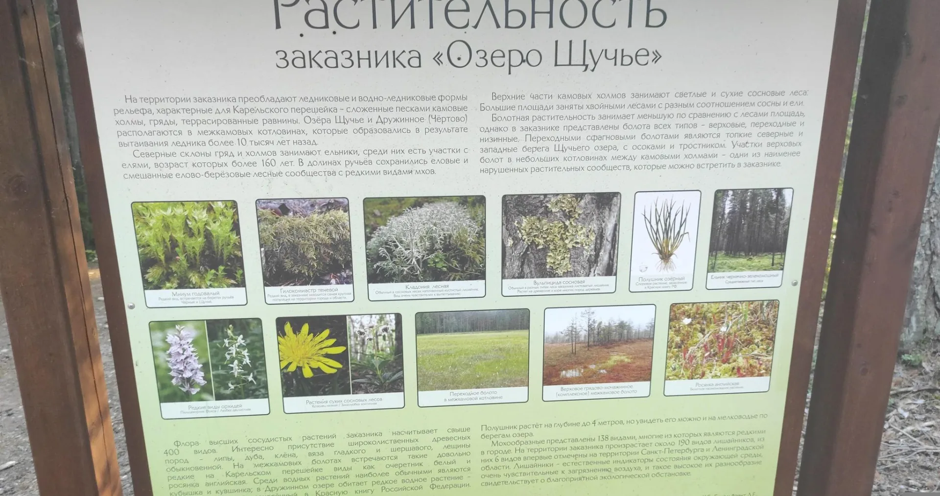 Маршрут «Зеленогорск», 7,2 км