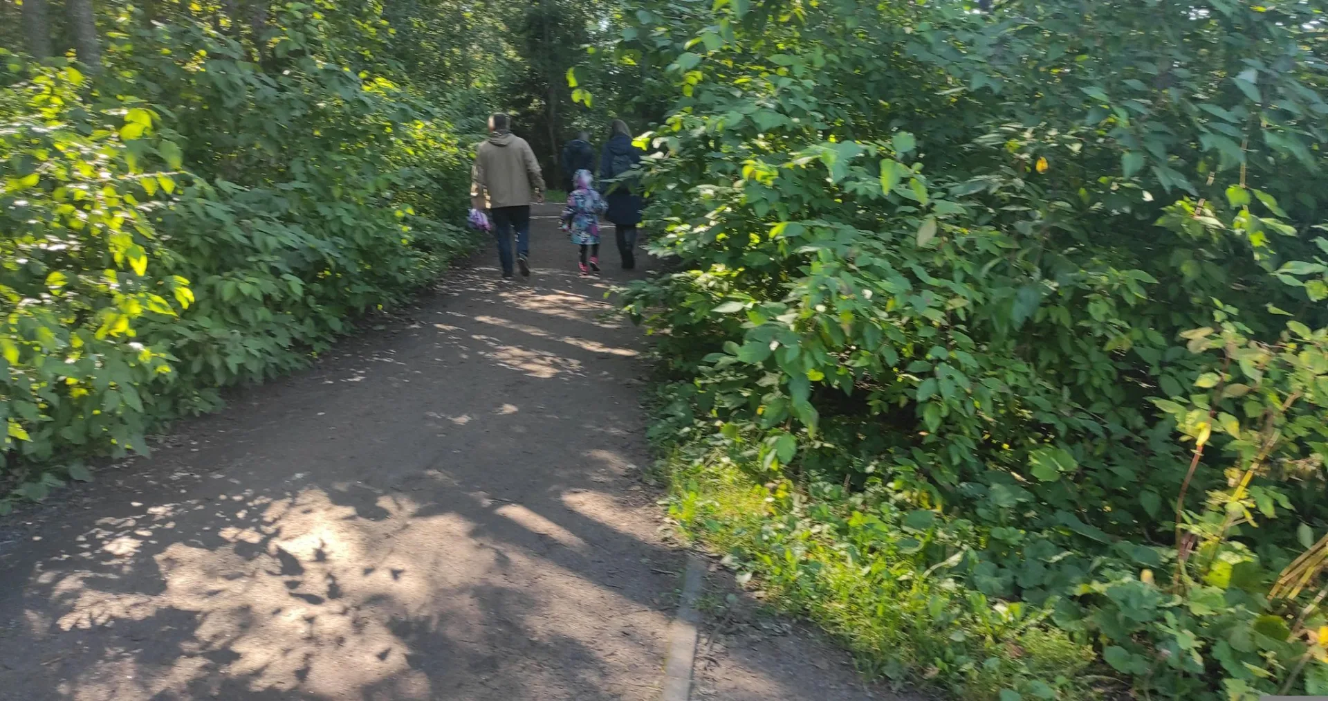 Маршрут «Зеленогорская петля», 4,8 км