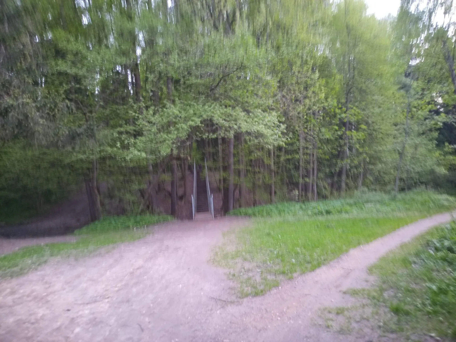 Маршрут «Зеленоград — Алабушево», 9,8 км