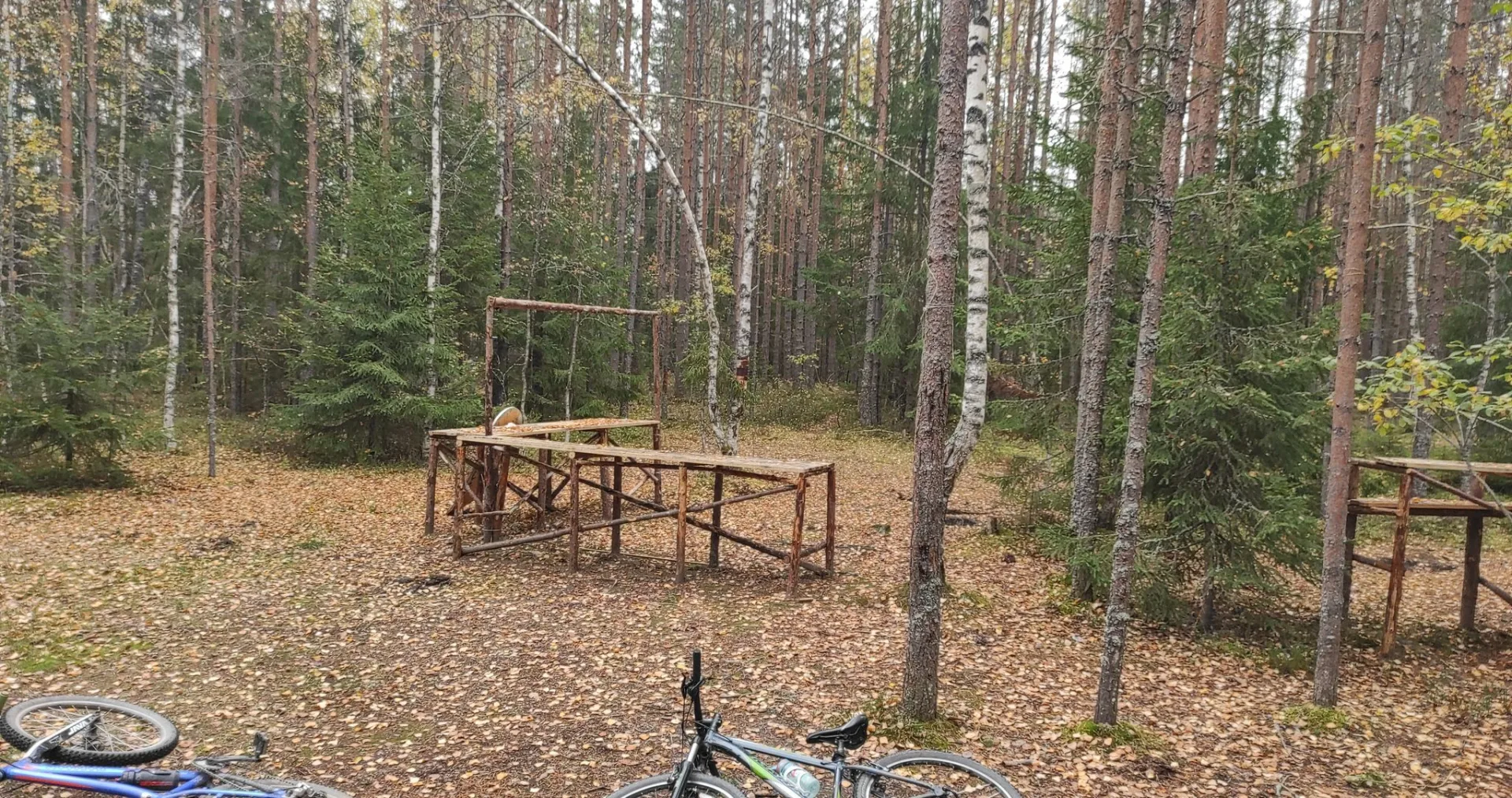 Маршрут «Зеркальный — Волково», 13,1 км